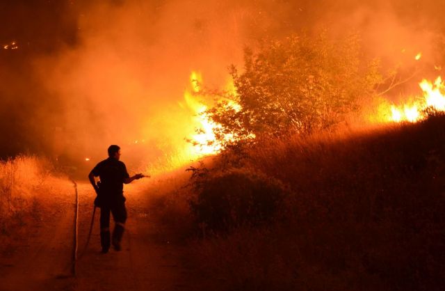 Σε ετοιμότητα και επιφυλακή όλες οι υπηρεσίες της Περιφέρειας Θεσσαλίας λόγω του αυξημένου κινδύνου εκδήλωσης πυρκαγιάς