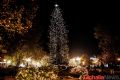 Τρίκαλα: Φωταγωγείται το υψηλότερο φυσικό χριστουγεννιάτικο δέντρο