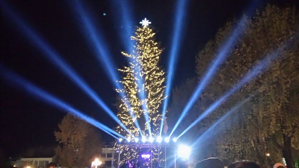 Τρίκαλα: Διαδικτυακά φέτος φωταγωγείται το υψηλότερο φυσικό χριστουγεννιάτικο δέντρο